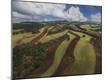 Premium Photographic Print