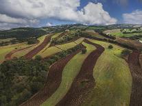 Working a Field near Manciano, Air View by Drone-Guido Cozzi-Photographic Print
