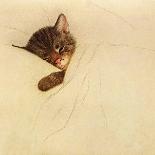 A-Sleep Like a Kitten-Guido Gruenwald-Giclee Print