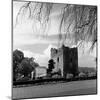 Guildford Castle-Staff-Mounted Photographic Print