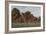 Guildhall, Priory Park, Chichester-Alfred Robert Quinton-Framed Giclee Print