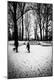 Photographic Print