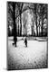 Photographic Print