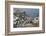 Guillemots, Kittiwakes, Shags and a Puffin on the Cliffs of Inner Farne-James Emmerson-Framed Photographic Print