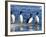 Guillemots on Ice in Lomfjorden Svalbard Archipelago, Norway, Scandinavia, Europe-Nico Tondini-Framed Photographic Print