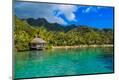 Premium Photographic Print