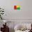 Guinea-Bissau Flag Design with Wood Patterning - Flags of the World Series-Philippe Hugonnard-Art Print displayed on a wall