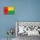 Guinea-Bissau Flag Design with Wood Patterning - Flags of the World Series-Philippe Hugonnard-Premium Giclee Print displayed on a wall