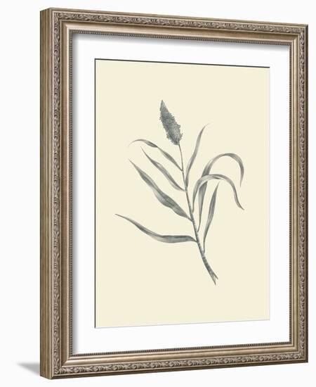 Guinea Corn-Maria Mendez-Framed Art Print