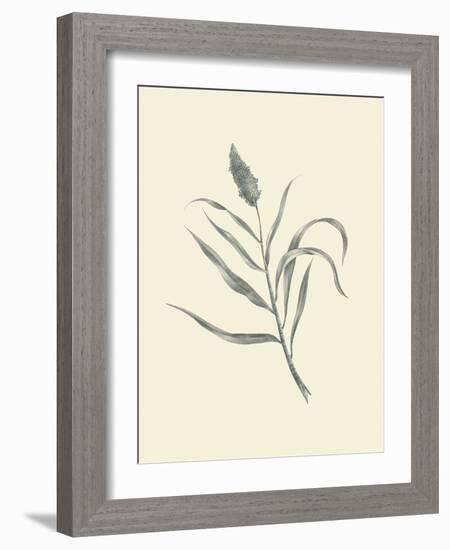 Guinea Corn-Maria Mendez-Framed Art Print