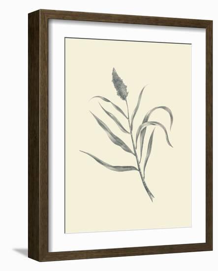 Guinea Corn-Maria Mendez-Framed Art Print