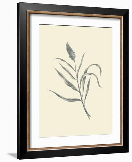 Guinea Corn-Maria Mendez-Framed Art Print