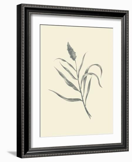 Guinea Corn-Maria Mendez-Framed Art Print