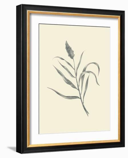 Guinea Corn-Maria Mendez-Framed Art Print