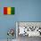 Guinea Flag Design with Wood Patterning - Flags of the World Series-Philippe Hugonnard-Art Print displayed on a wall