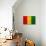 Guinea Flag Design with Wood Patterning - Flags of the World Series-Philippe Hugonnard-Art Print displayed on a wall