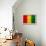 Guinea Flag Design with Wood Patterning - Flags of the World Series-Philippe Hugonnard-Framed Stretched Canvas displayed on a wall