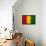 Guinea Flag Design with Wood Patterning - Flags of the World Series-Philippe Hugonnard-Framed Stretched Canvas displayed on a wall