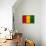 Guinea Flag Design with Wood Patterning - Flags of the World Series-Philippe Hugonnard-Framed Stretched Canvas displayed on a wall