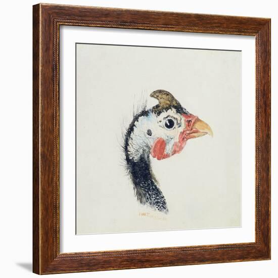 Guinea Fowl, from the Farnley Book of Birds, C.1816-JMW Turner-Framed Giclee Print