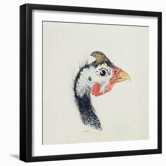 Guinea Fowl, from the Farnley Book of Birds, C.1816-JMW Turner-Framed Giclee Print