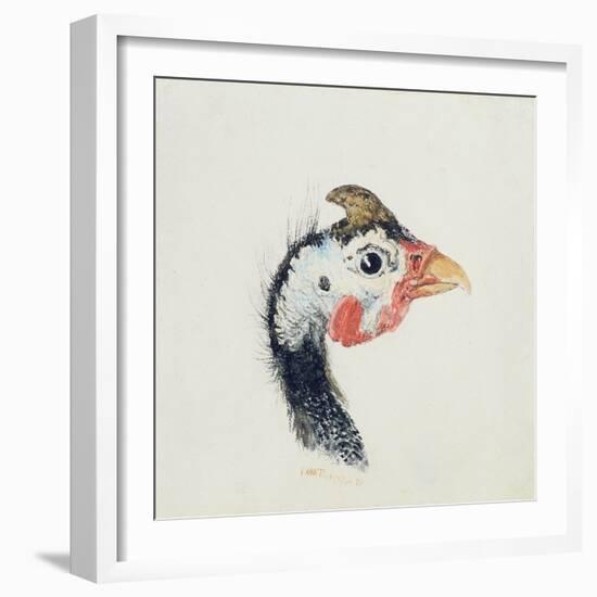 Guinea Fowl, from the Farnley Book of Birds, C.1816-JMW Turner-Framed Giclee Print