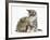 Guinea Pig and Maine Coon-Cross Kitten, 7 Weeks, Sniffing Each Other-Mark Taylor-Framed Photographic Print