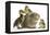 Guinea Pig and Three Mallard Ducklings-Mark Taylor-Framed Premier Image Canvas