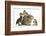 Guinea Pig and Three Mallard Ducklings-Mark Taylor-Framed Photographic Print