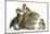 Guinea Pig and Three Mallard Ducklings-Mark Taylor-Mounted Photographic Print