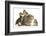 Guinea Pig and Three Mallard Ducklings-Mark Taylor-Framed Photographic Print