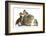 Guinea Pig and Three Mallard Ducklings-Mark Taylor-Framed Photographic Print