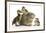 Guinea Pig and Three Mallard Ducklings-Mark Taylor-Framed Photographic Print