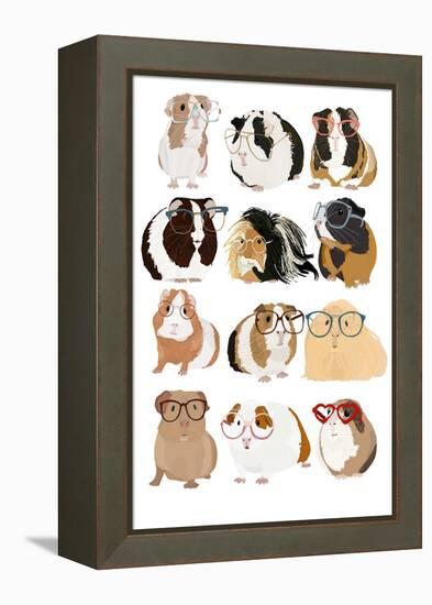 Guinea Pig in Glasses-Hanna Melin-Framed Premier Image Canvas