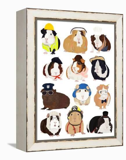 Guinea Pig Working Hr-Hanna Melin-Framed Premier Image Canvas