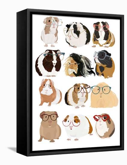 Guinea Pigs In Glasses-Hanna Melin-Framed Stretched Canvas