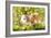 Guinea Pigs with Flowers-null-Framed Photographic Print