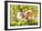 Guinea Pigs with Flowers-null-Framed Photographic Print