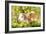 Guinea Pigs with Flowers-null-Framed Photographic Print