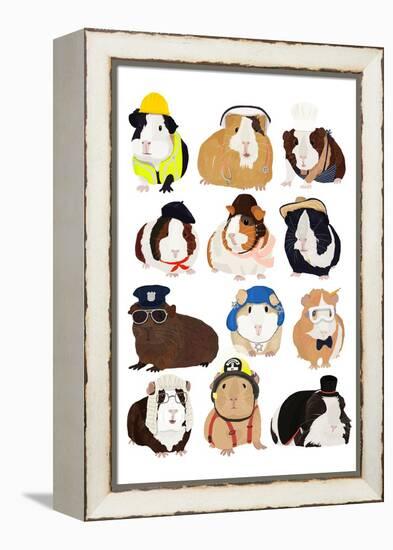 Guinea Pigs Working-Hanna Melin-Framed Stretched Canvas