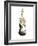 Guitar Foliage II-Annie Warren-Framed Art Print