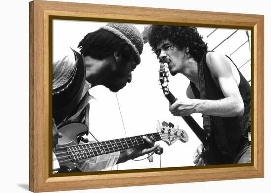 Guitarists David Brown And Carlos Santana During Music And Art Festival In Woodstock, August 1969-null-Framed Stretched Canvas