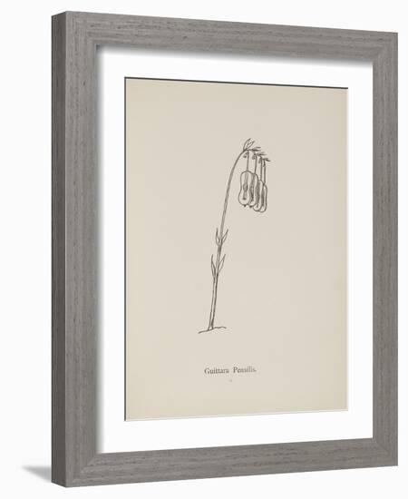 Guittara Pensilis. Illustration From Nonsense Botany by Edward Lear, Published in 1889.-Edward Lear-Framed Giclee Print