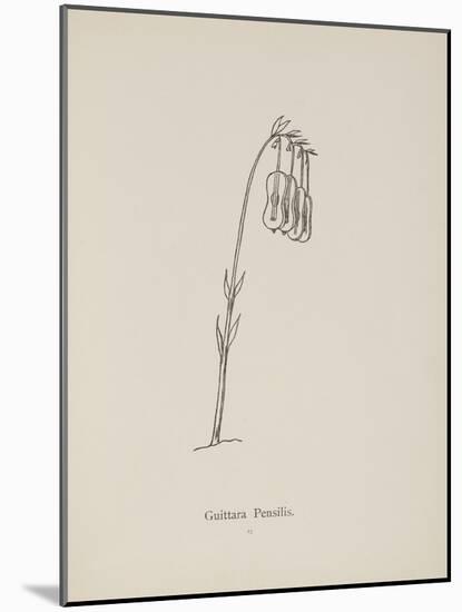 Guittara Pensilis. Illustration From Nonsense Botany by Edward Lear, Published in 1889.-Edward Lear-Mounted Giclee Print