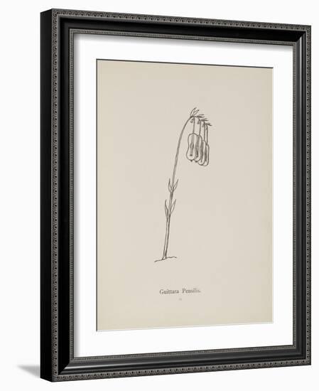 Guittara Pensilis. Illustration From Nonsense Botany by Edward Lear, Published in 1889.-Edward Lear-Framed Giclee Print