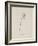 Guittara Pensilis. Illustration From Nonsense Botany by Edward Lear, Published in 1889.-Edward Lear-Framed Giclee Print