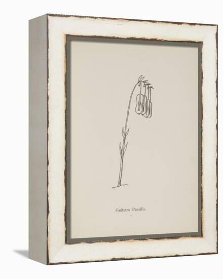 Guittara Pensilis. Illustration From Nonsense Botany by Edward Lear, Published in 1889.-Edward Lear-Framed Premier Image Canvas