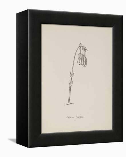 Guittara Pensilis. Illustration From Nonsense Botany by Edward Lear, Published in 1889.-Edward Lear-Framed Premier Image Canvas