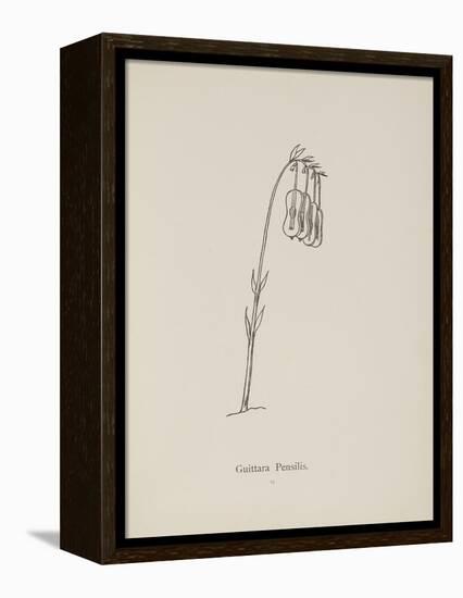 Guittara Pensilis. Illustration From Nonsense Botany by Edward Lear, Published in 1889.-Edward Lear-Framed Premier Image Canvas