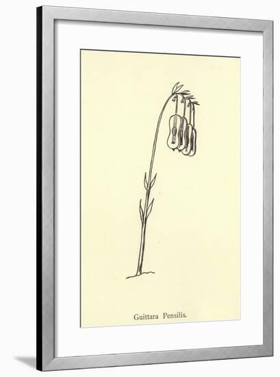 Guittara Pensilis-Edward Lear-Framed Giclee Print